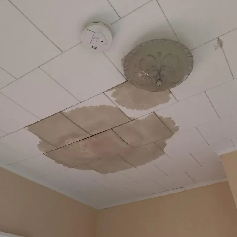 Ceiling Water Damage Repair in Gladstone, MO