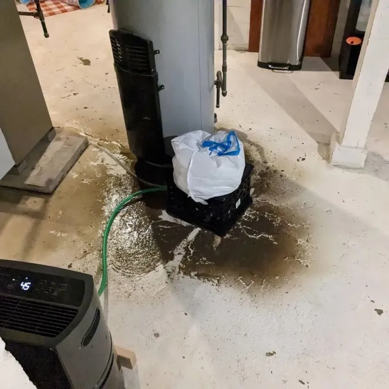 Sewage Backup Cleanup Service in Gladstone, MO